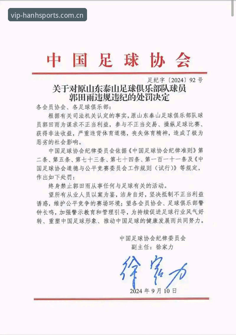 中国足协第三批禁足令深度评测：17人终身禁赛背后的足球生态反思