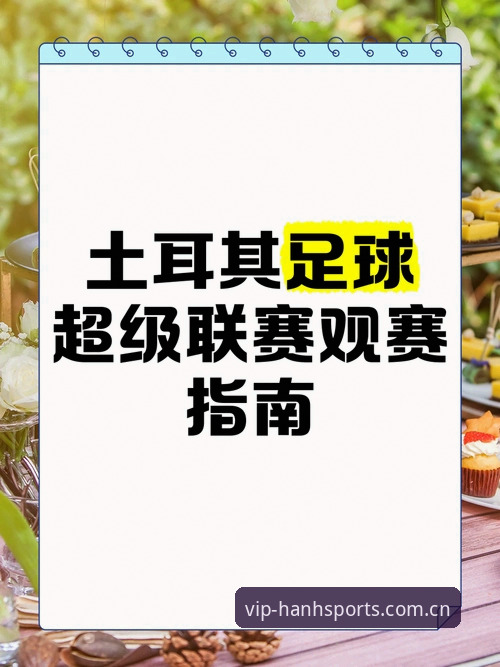 世界杯观赛签证难题实用指南——从浩瀚体育平台视角看约旦土耳其球迷困境